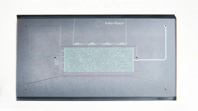 EOR S200 Chip - 1μm x 2μm x 50μm