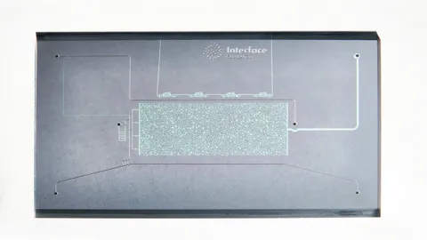 EOR S200 Chip - 1μm x 2μm x 50μm