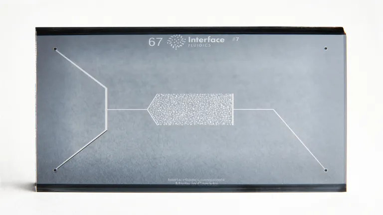 Regain S200 Chip - 7.8μm x 70μm 