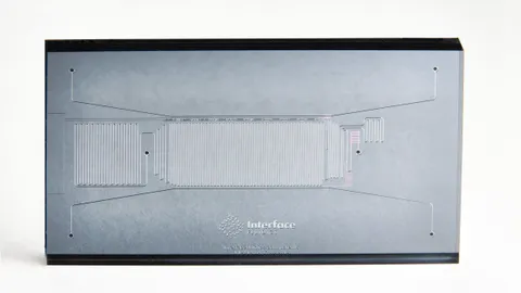 Swelling Test S100 Chip. 6 Ports