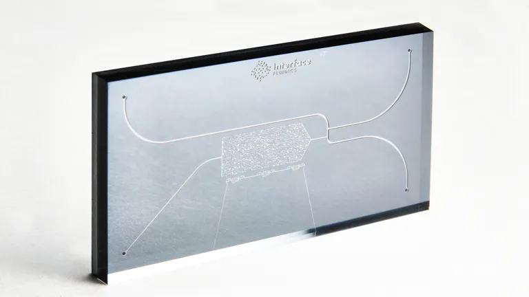 EOR S120 Chip - 15μm x 70μm