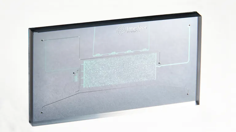 EOR S200 Chip - 1μm x 2μm x 50μm