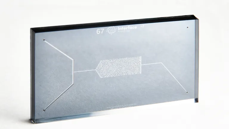 Regain S200 Chip - 7.8μm x 70μm 