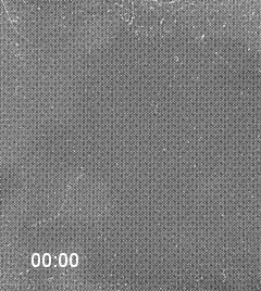 sagd reservoir mimicking device