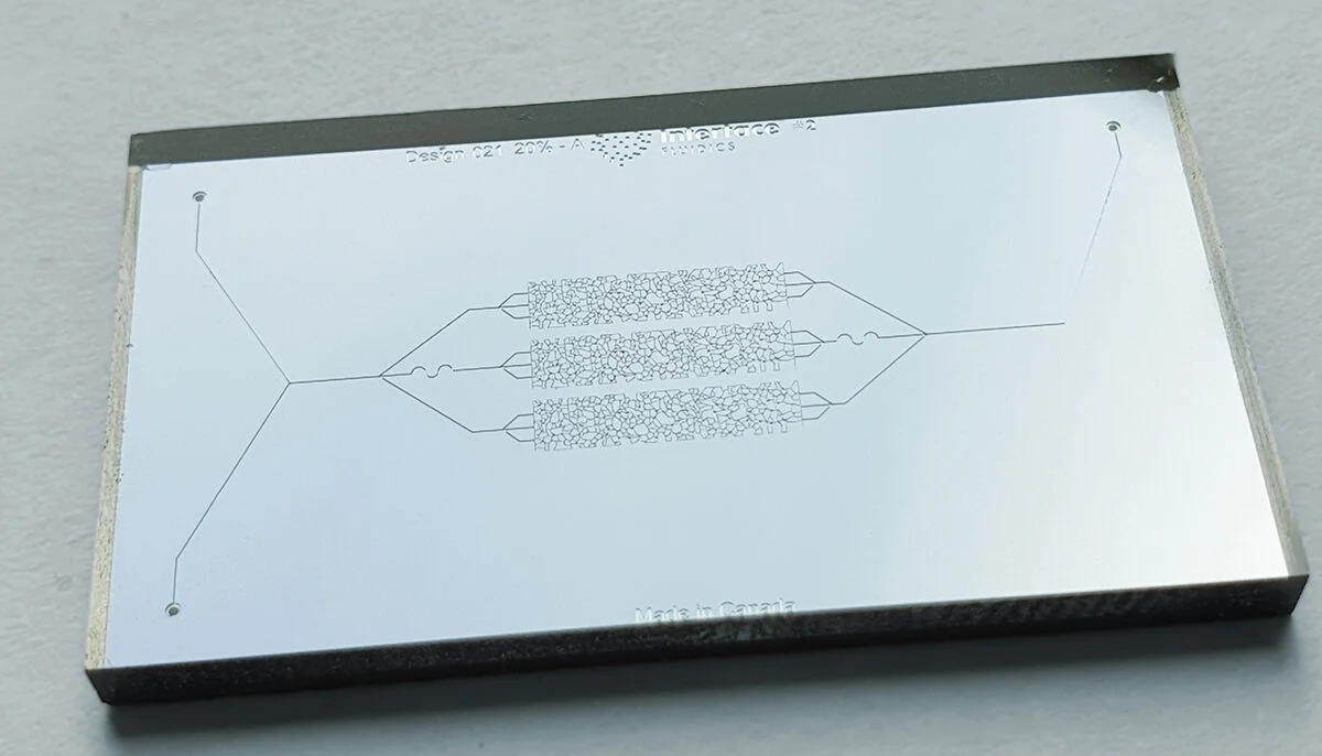 reservoir mimicking chip for eor