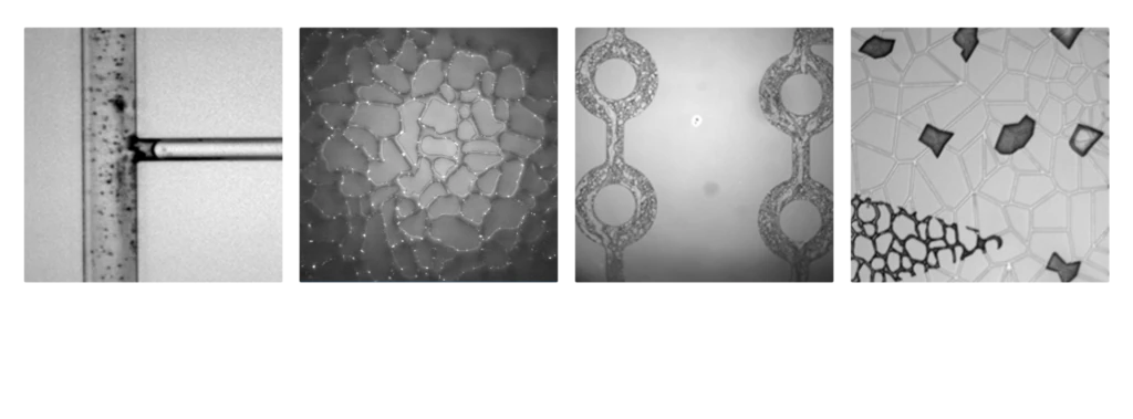 Examples of damage and fluid incompatibilities