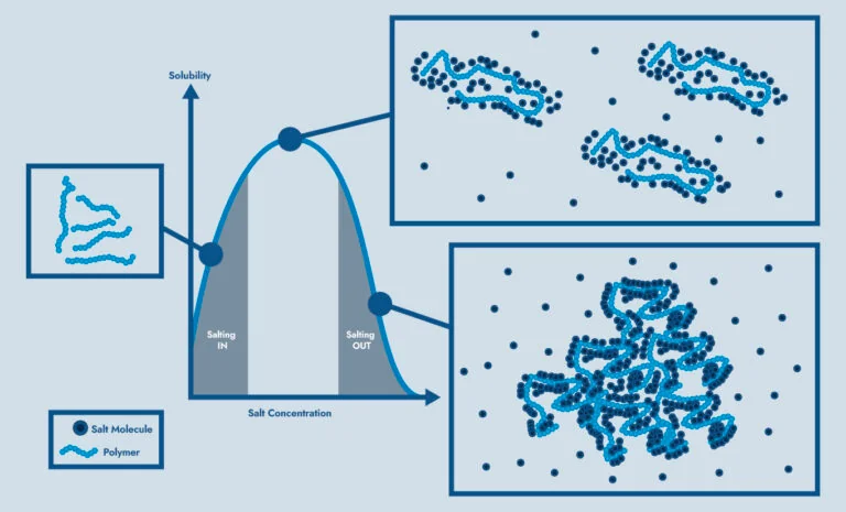 During salting in, salt ions shield electrostatic attractions between polymer chains, increasing solubility. At high salt concentration polymer chains precipitate out of solution. This is due to water molecules preferentially forming hydration complexes with the salt ions, dehydrating the polymer.