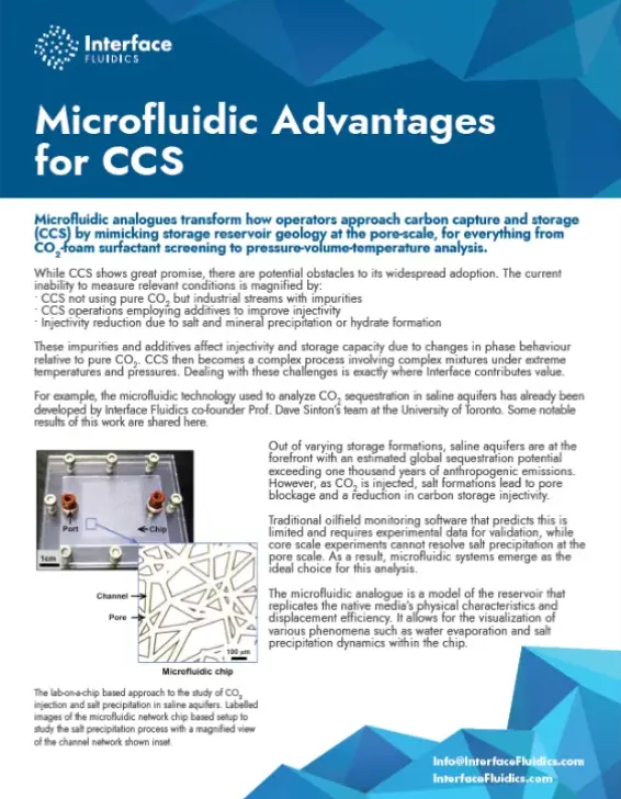 Carbon Capture & Storage (CCS) preview