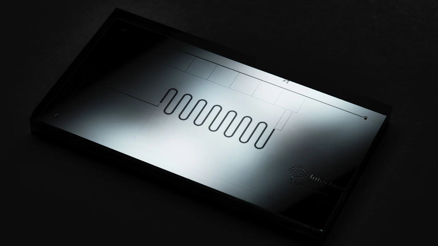 Microfluidic Chips