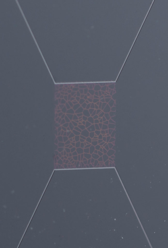 nano scale porous media chip