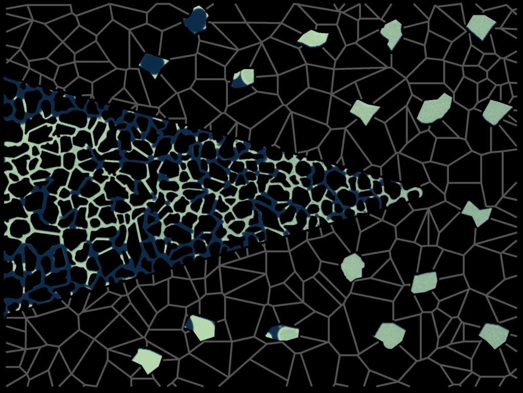 solvents in a reservoir mimicking chip