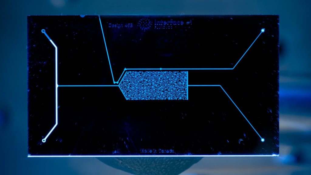 reservoir mimicking chip for eor