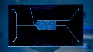 reservoir mimicking chip for eor