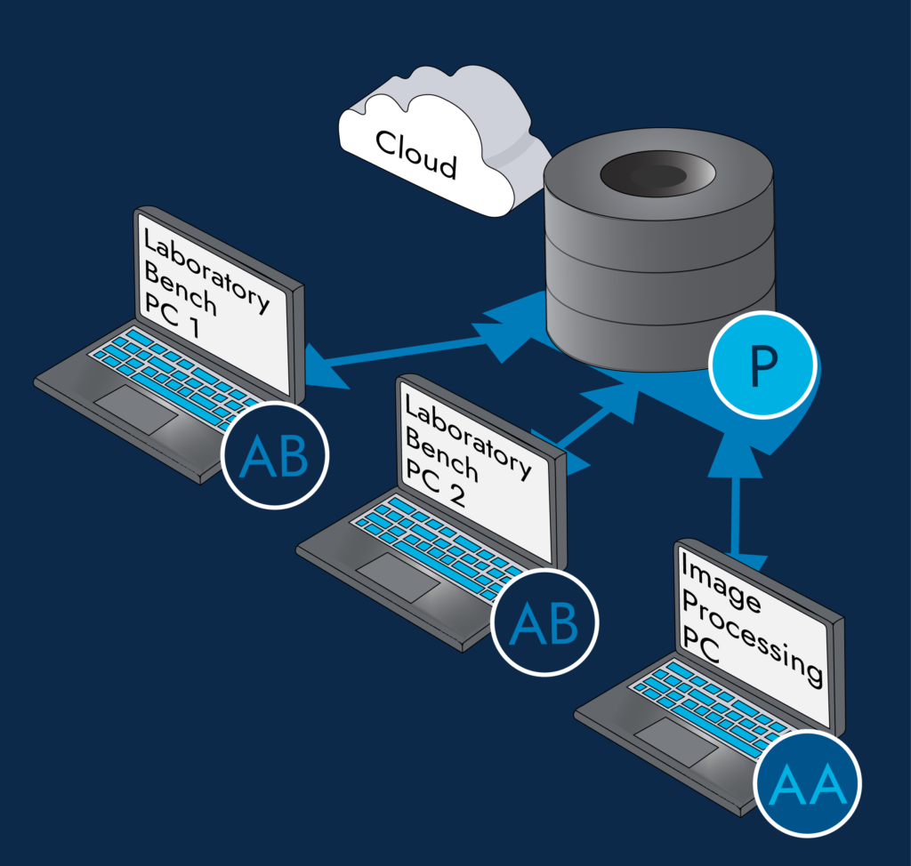 Interface's innovative software package: Autobench, Autoanalysis and Portal used in image processing.