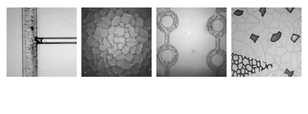 Examples of damage and fluid incompatibilities